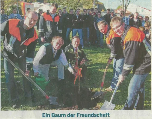 Baum.jpg