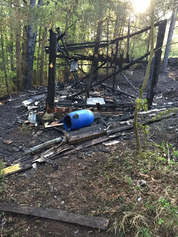 Brand Bienenhaus.jpg