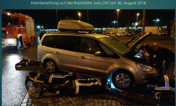 Tierrettung.jpg